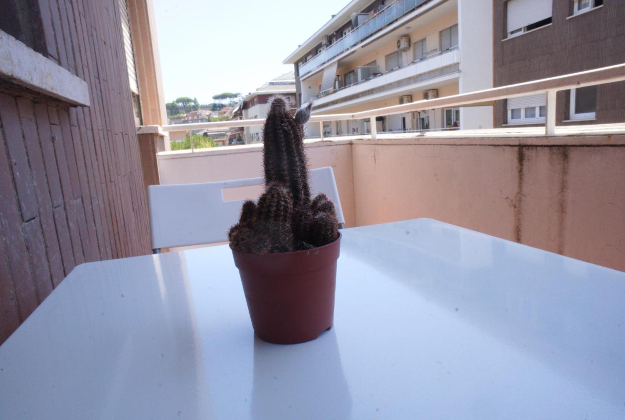 Ermete San Pietro House Apartamento
